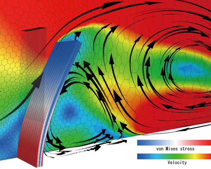 FSI:Fluid-structure interaction