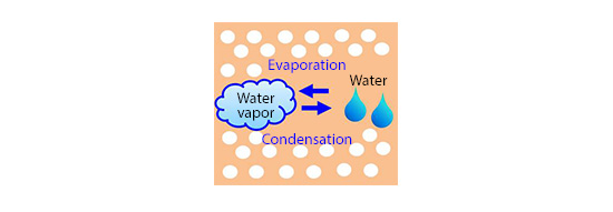 Moisture absorption/desorption in a solid