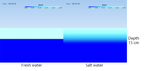 Solid phase rate distribution in section of central part of water pond 20 days later