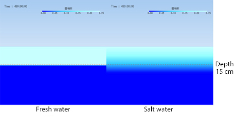 Solid phase rate distribution in section of central part of water pond 20 days later