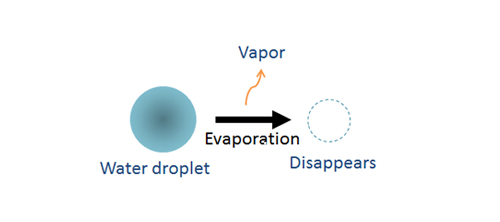 Evaporation model of a water droplet