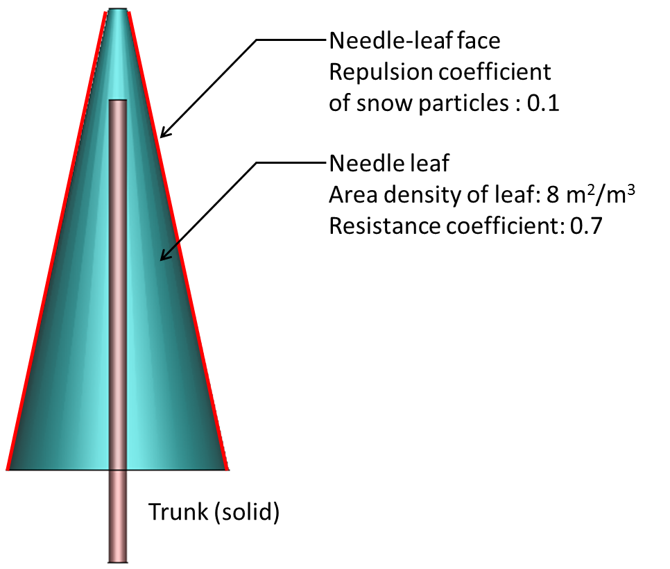 Figure 5: Needle-leaf tree (Cross section)