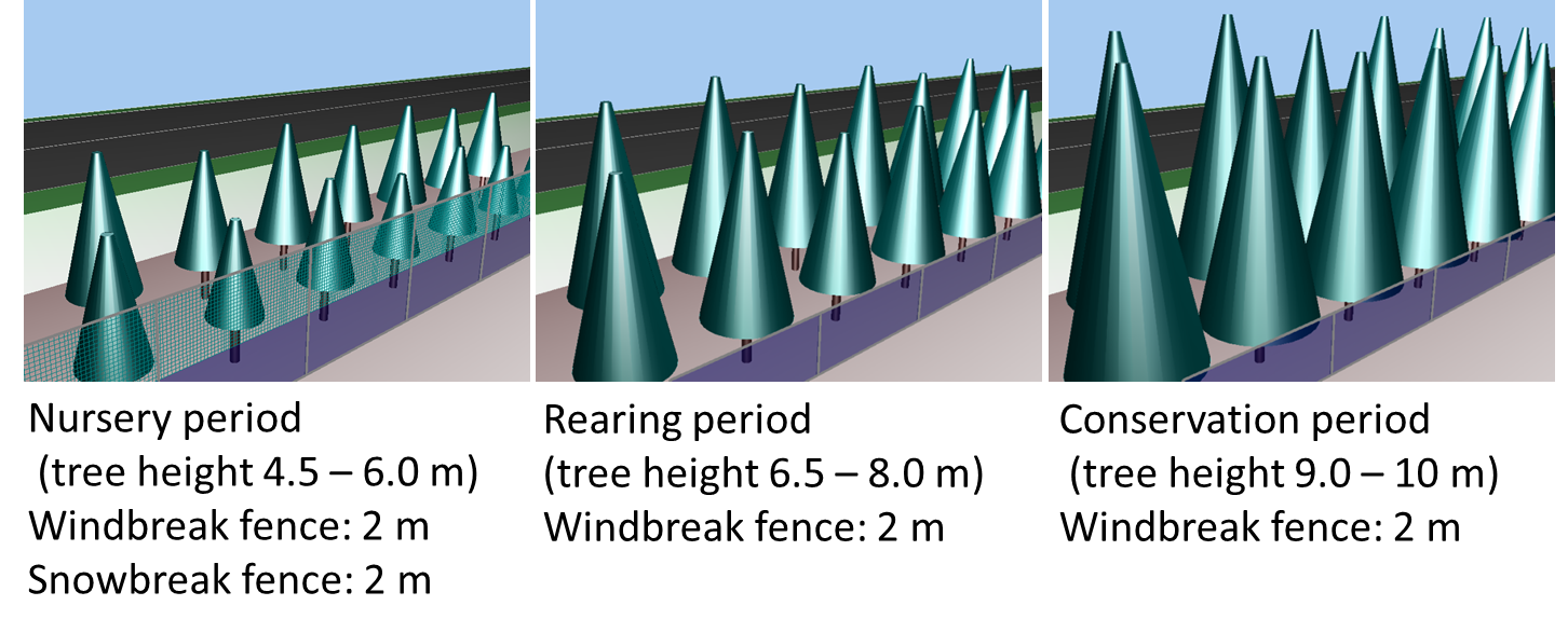 Figure 6: Narrow-band woods