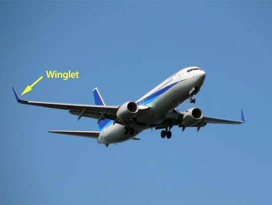 Winglet